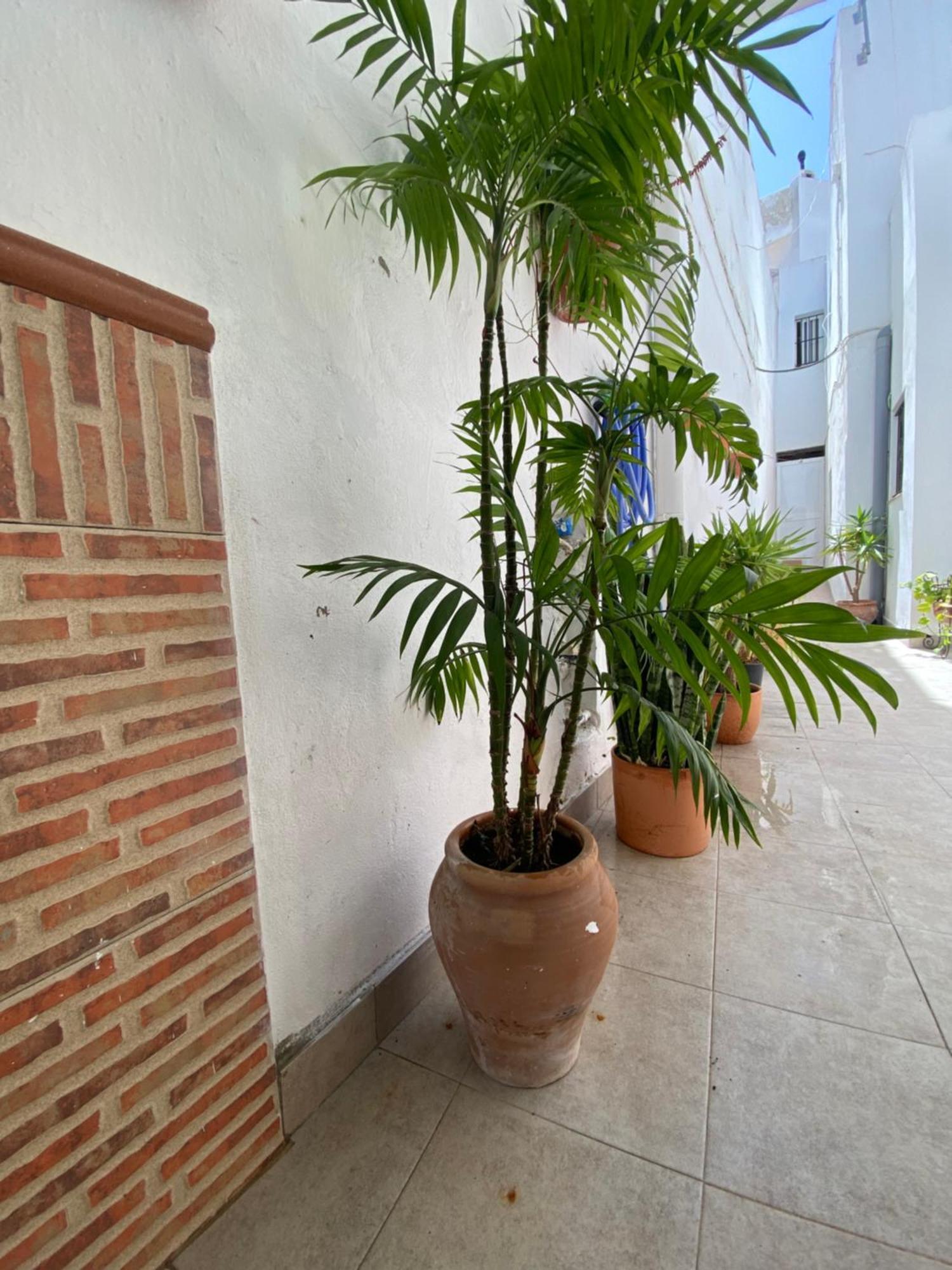 Casa Calle Vejer de la Frontera Εξωτερικό φωτογραφία